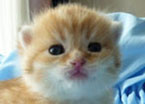 quncy0